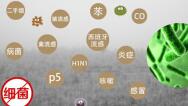 沒有霧霾的南方地區(qū)，為什么也需要新風(fēng)系統(tǒng)